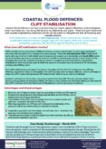 Cliff Stabilisation – Coastal Flood Defences