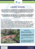 Leaky Woody Dams – Natural Flood Management