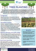 Tree Planting – Natural Flood Management