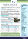 Flood Re and Household Insurance