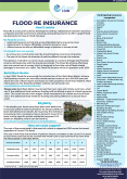 Flood Re and Household Insurance