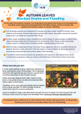 Autumn Leaves: Blocked Drains and Flooding