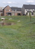 Blog: Sustainable Drainage Systems (SuDS) – Alleviating demand on water supplies and future flood risk