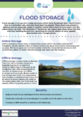 Flood Storage – Natural Flood Management