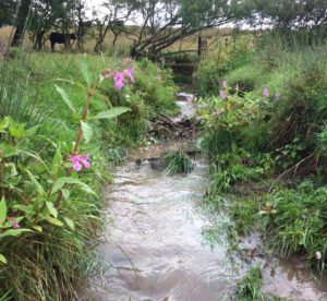 Stream in Ribchester, Lancashire. This is an ordinary watercourse.