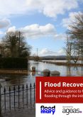 Flood Mary – Flood Recovery Guide