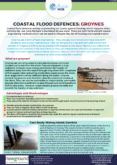 Groynes – Coastal Flood Defences