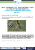 Natural Flood Management Case Study: Lonscale Gully Erosion Stabilisation Project