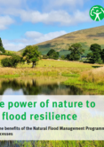 Using the power of nature to increase flood resilience