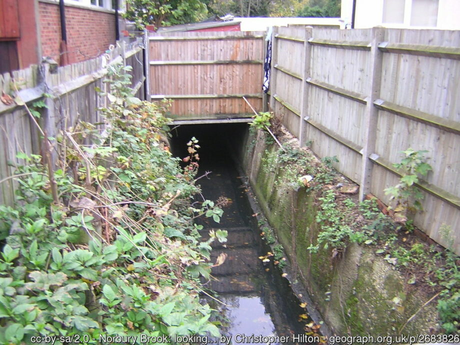 A brook running between the fence line of two houses