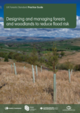 Designing and Managing Forests and Woodlands to Reduce Flood Risk