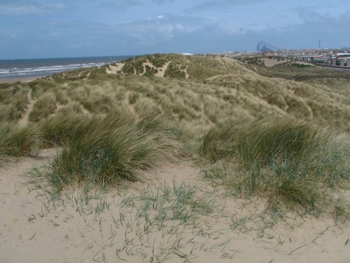 Sand dunes in St Annes