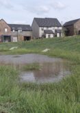 Blog: Additional Benefits of Sustainable Drainage Systems (SuDS)