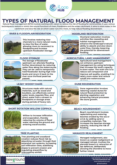 Types of Natural Flood Management (NFM)