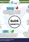 Multiple Benefits of Sustainable Drainage Systems (SuDS)