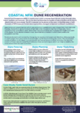 Dune Regeneration – Coastal NFM